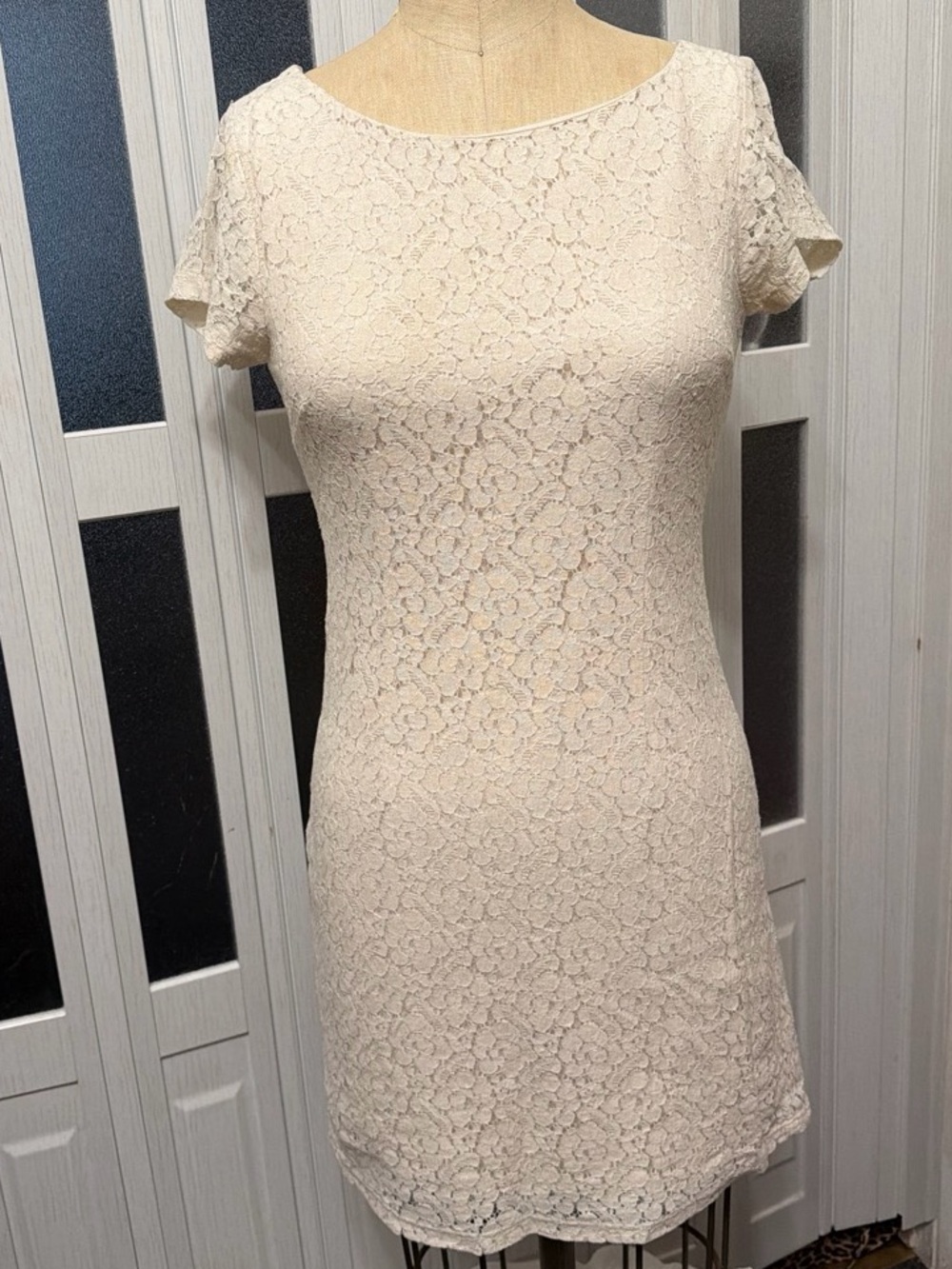 happening in the present Cream Lace Short Sleeve Sheath Dress